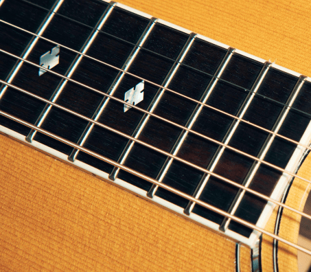 Fretboard shop 2025
